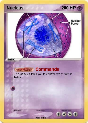 Pokemon Nucleus