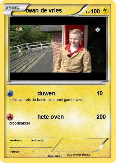 Pokemon twan de vries