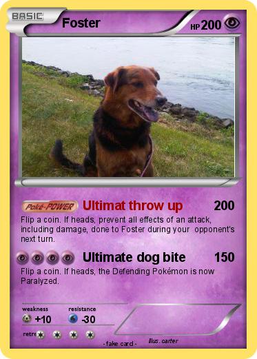 Pokemon Foster