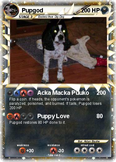Pokemon Pupgod