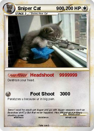 Pokemon Sniper Cat            900,