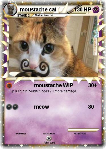 Pokemon moustache cat