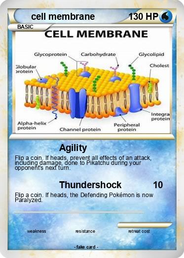 Pokemon cell membrane