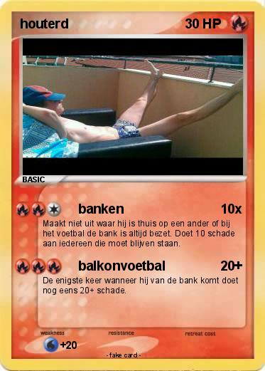 Pokemon houterd