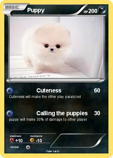 Pokemon Puppy