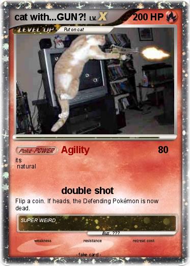 Pokemon cat with...GUN?!