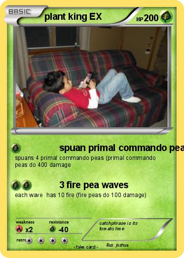 Pokemon plant king EX
