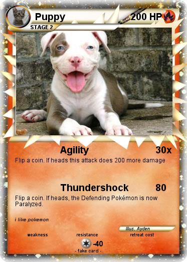 Pokemon Puppy