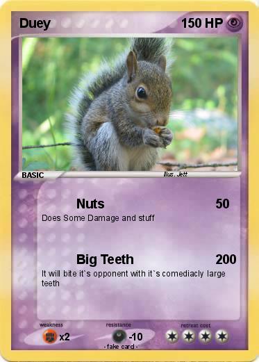 Pokemon Duey