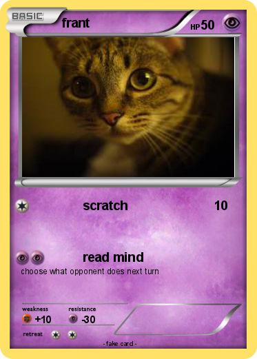 Pokemon frant