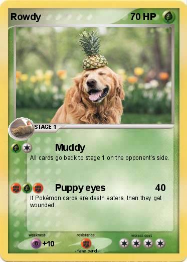 Pokemon Rowdy