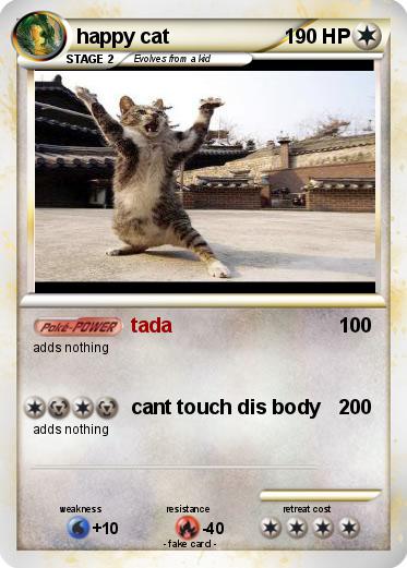 Pokemon happy cat