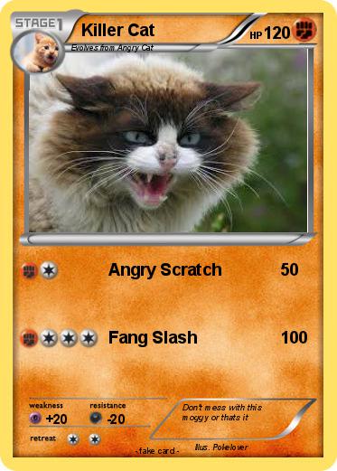 Pokemon Killer Cat
