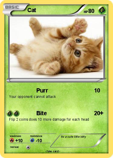 Pokemon Cat