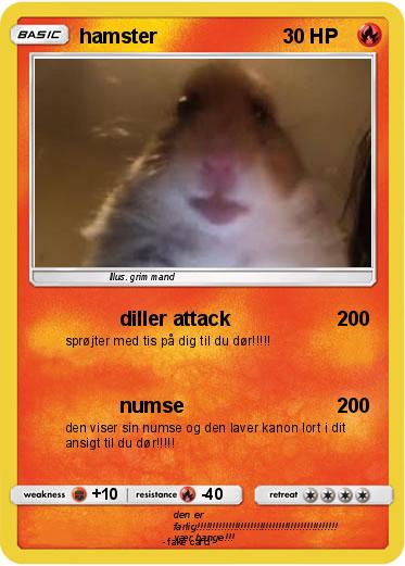 Pokemon hamster