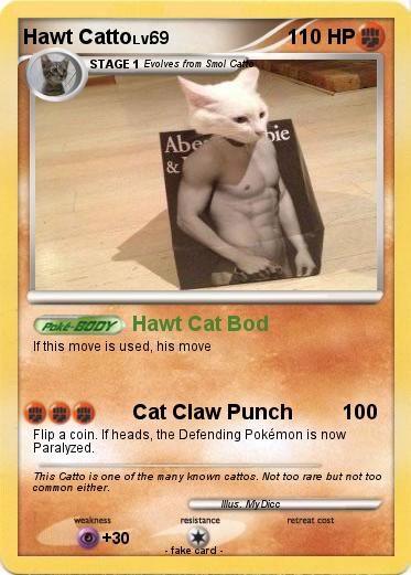 Pokemon Hawt Catto