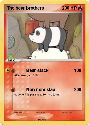 Pokemon The bear brothers