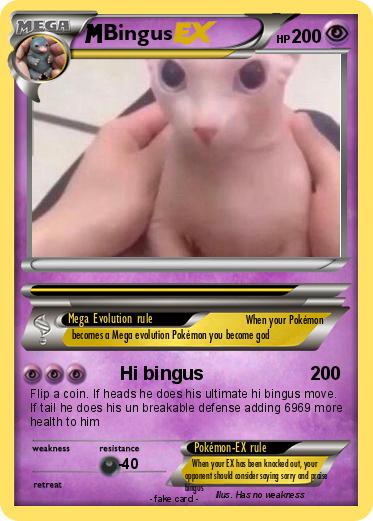 Pokemon Bingus