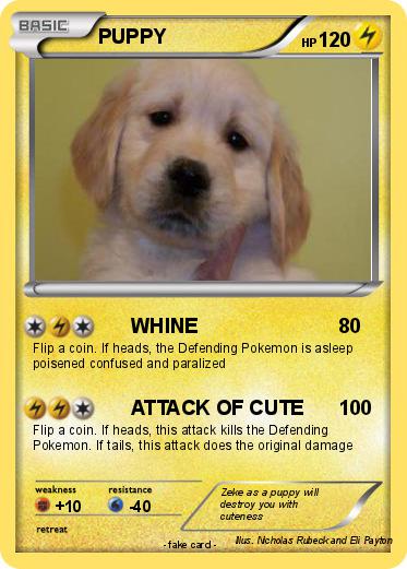 Pokemon PUPPY