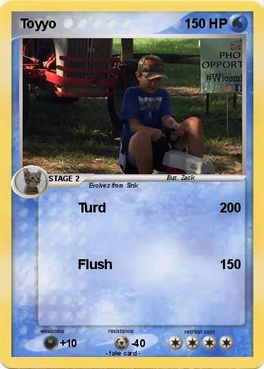 Pokemon Toyyo