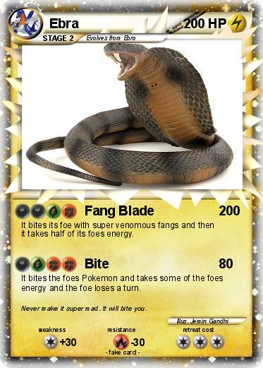 Pokemon Ebra