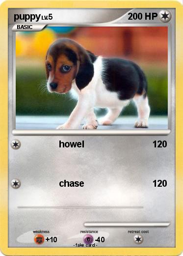Pokemon puppy
