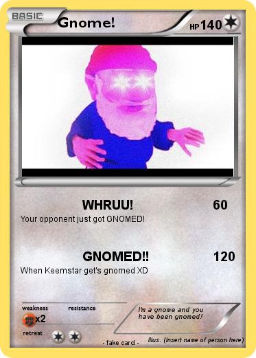 Pokemon Gnome!