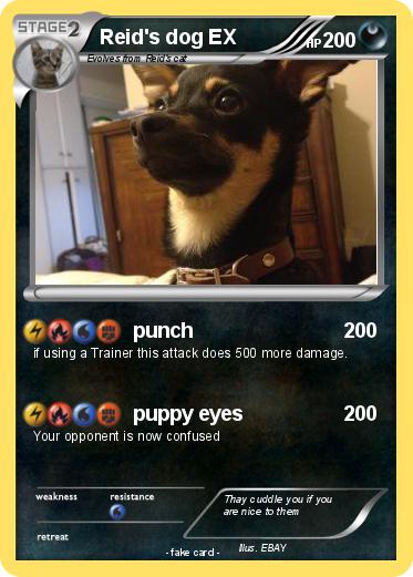 Pokemon Reid's dog EX