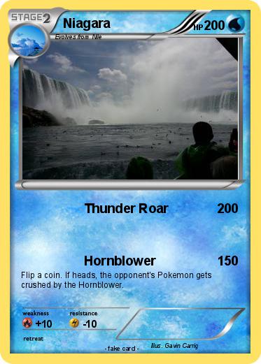 Pokemon Niagara