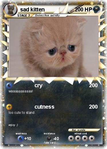 Pokemon sad kitten
