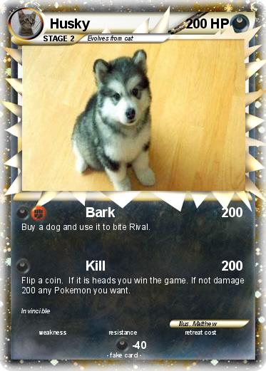 Pokemon Husky