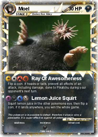 Pokemon Moel