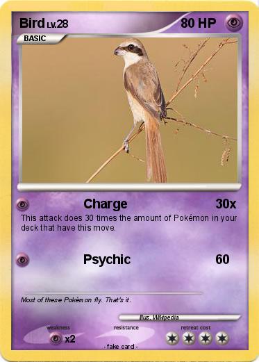 Pokemon Bird