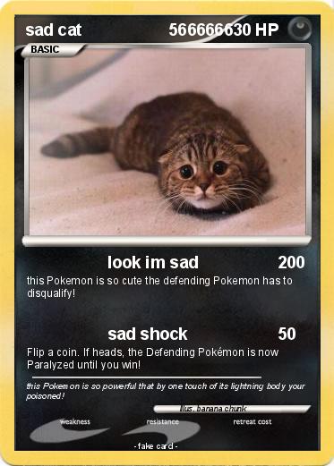 Pokemon sad cat                   5666666