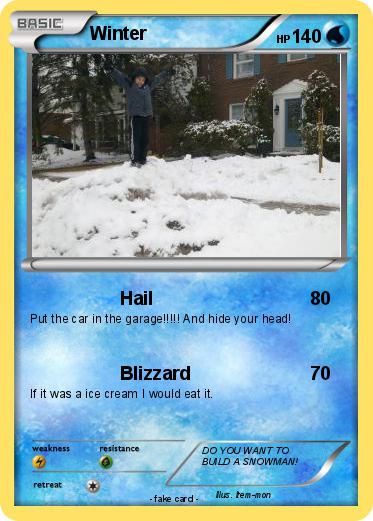 Pokemon Winter