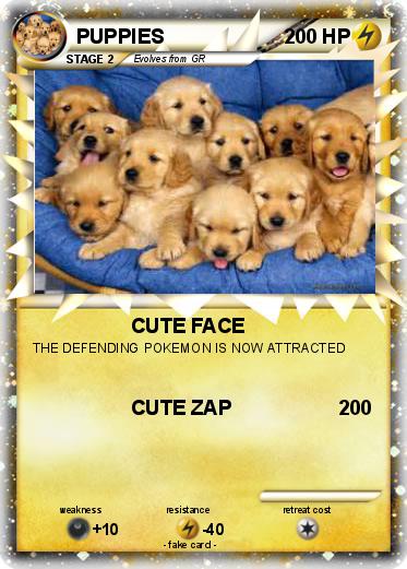 Pokemon PUPPIES
