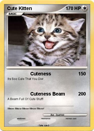Pokemon Cute Kitten