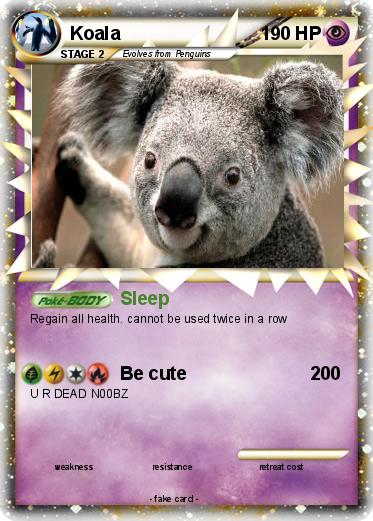 Pokemon Koala