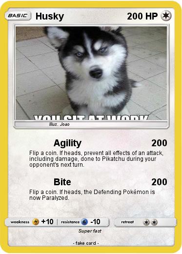 Pokemon Husky