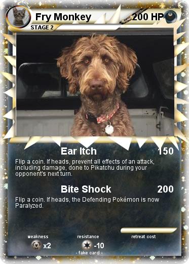 Pokemon Fry Monkey