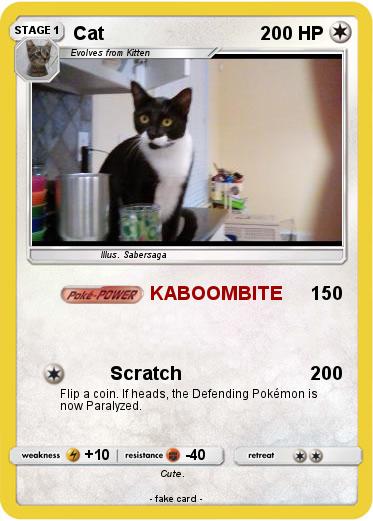 Pokemon Cat