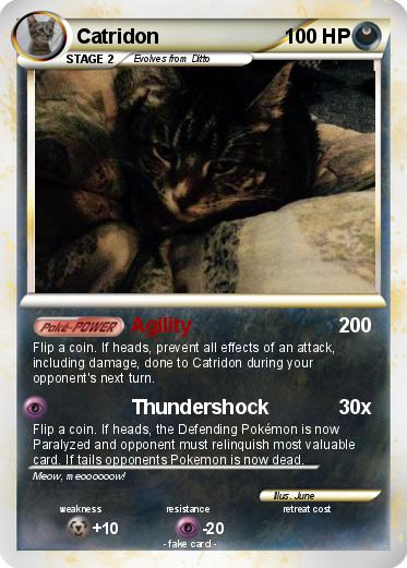 Pokemon Catridon