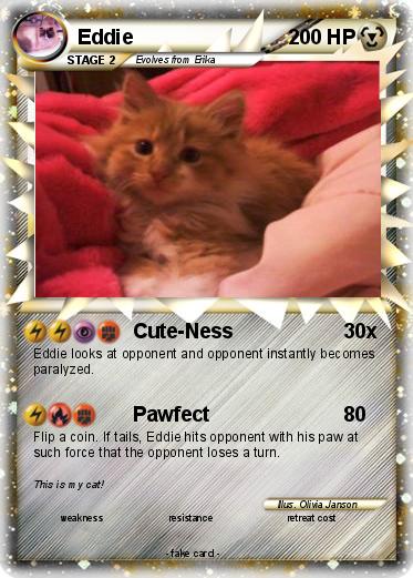 Pokemon Eddie