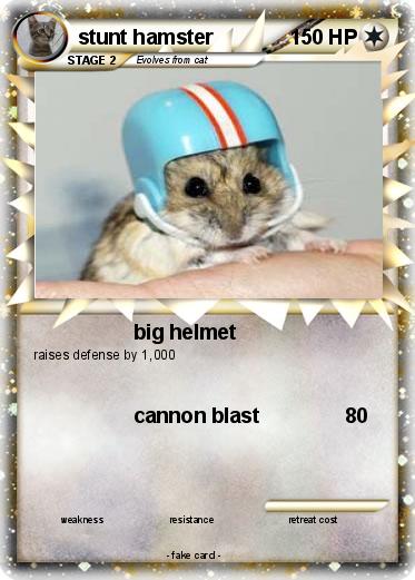 Pokemon stunt hamster