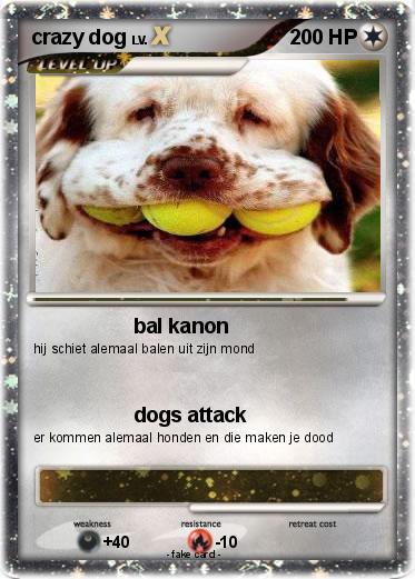 Pokemon crazy dog
