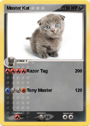 Pokemon Master Kat