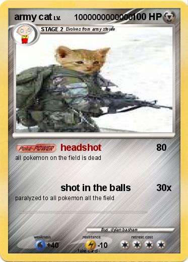 Pokemon army cat