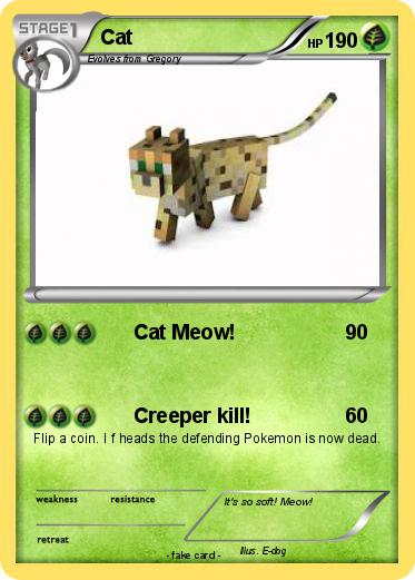 Pokemon Cat
