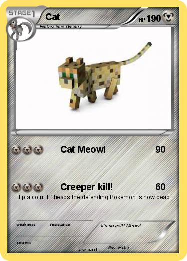 Pokemon Cat