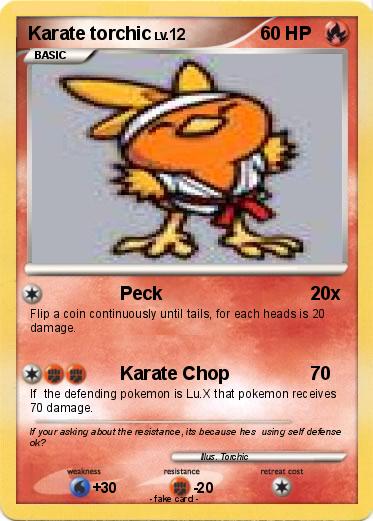 Pokemon Karate torchic